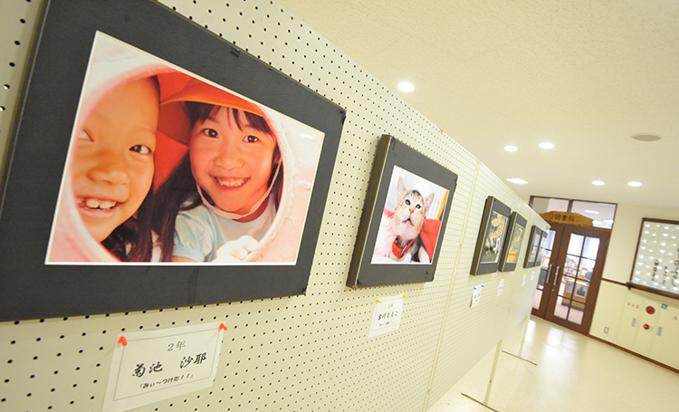 写真